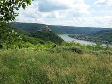 Blick zur Marksburg