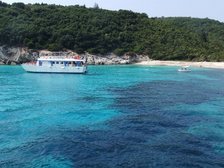 Paxos oder Antipaxos