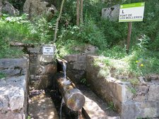 Font de les Molleres