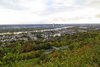 Aussicht auf Bonn