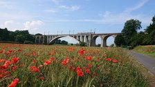 Brücke