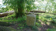 Der Hagenstein Der Hagenstein