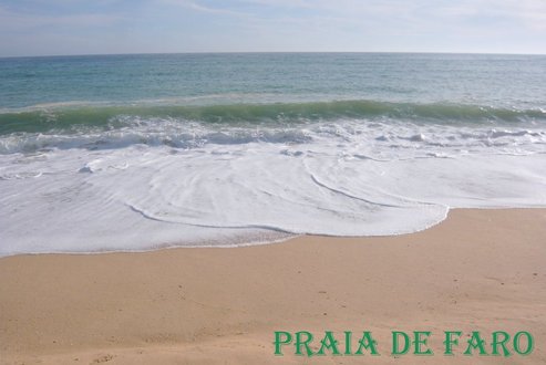 Faro