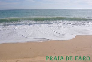 Faro