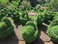 Jardins do Palheiro Jardins do Palheiro