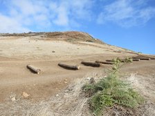 Ponta de Sao Lourenco