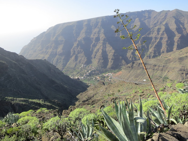 Valle Gran Rey