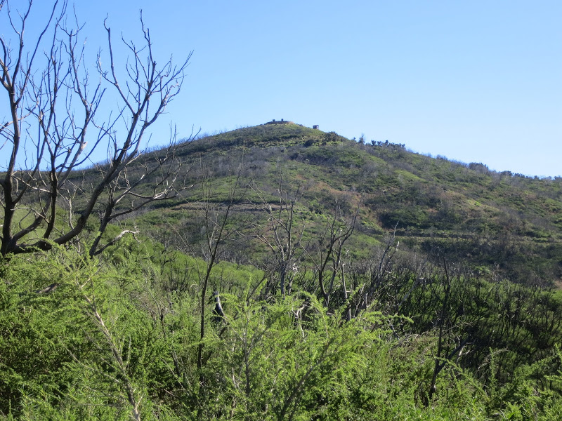 Alto de Garajonay