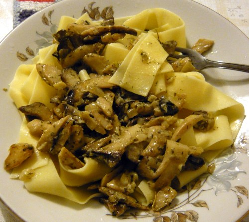 Nudeln mit Kräutersaibling-Sauce