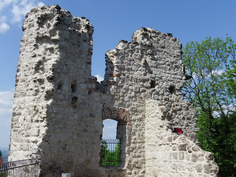 Burg Drachenfels