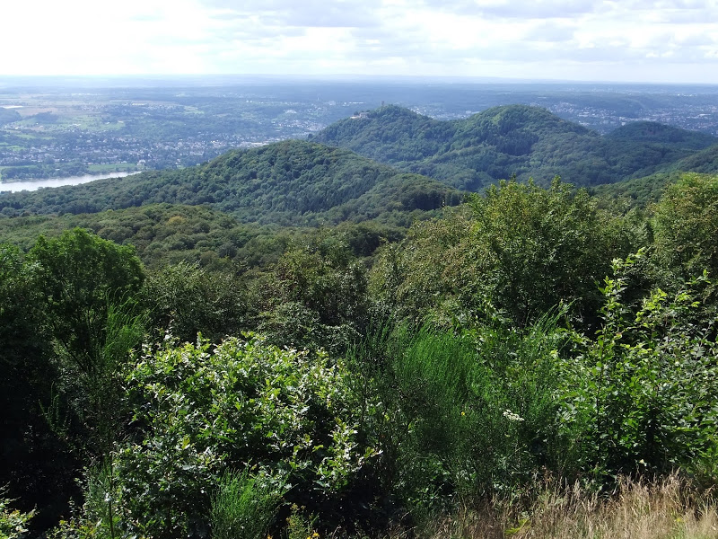 Aussicht von der Löwenburg