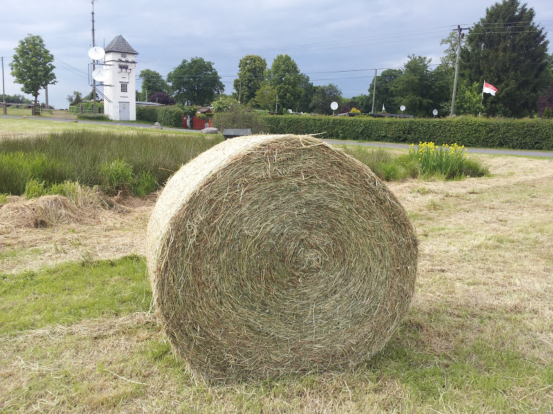 Bei Bruchhausen