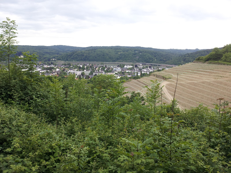 Blick auf Unkel