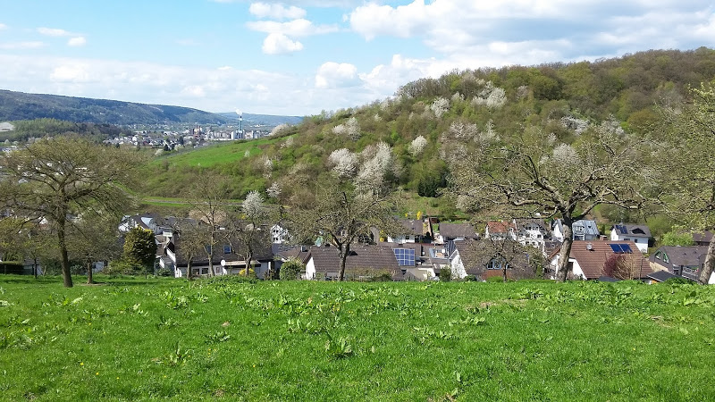 Rheinbrohl