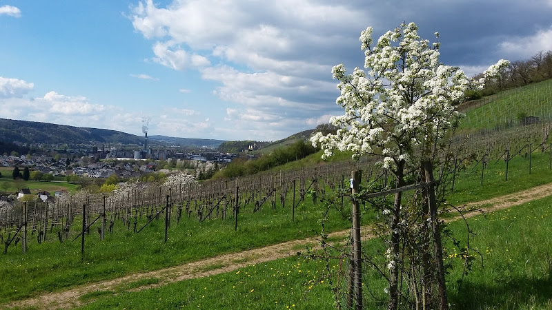 Blick gen Bad Hönningen