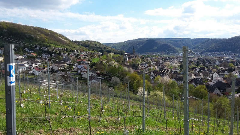 Blick nach Rheinbrohl