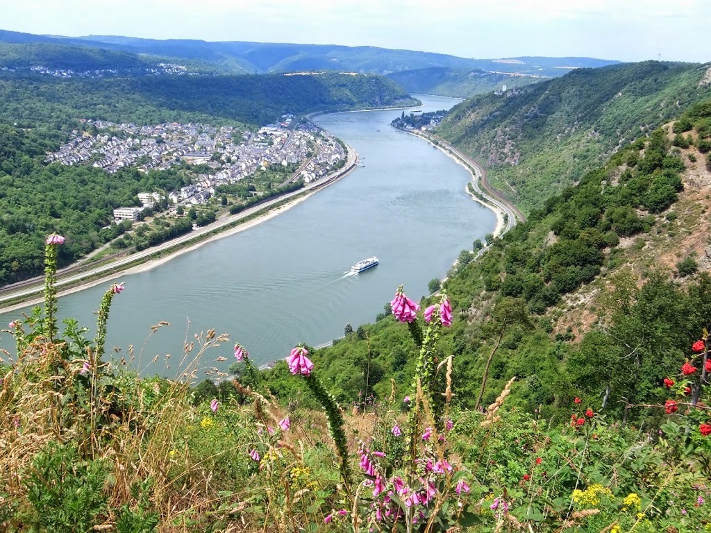 Rheinblick