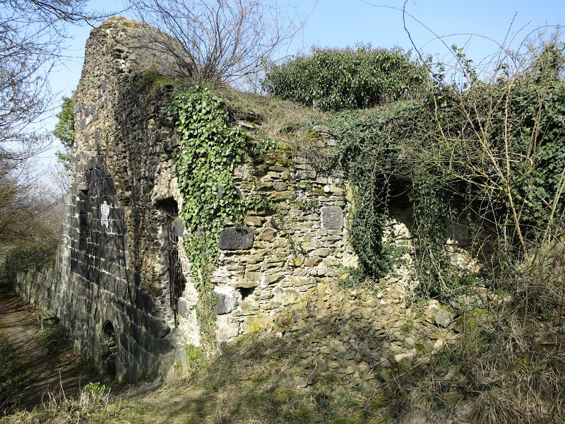 Ruine Hammerstein