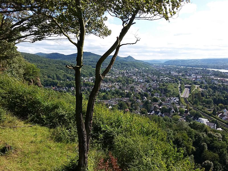 Blick zum Siebengebirge