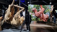 Zuletzt besuchtes Museum?